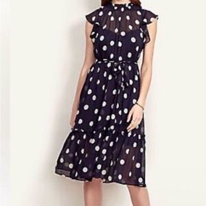 Ann Taylor Navy Blue & White Polka Dot Dress Size Medium